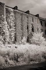 Abandoned Mental Hospital 5